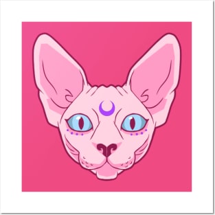 Sphynx Posters and Art